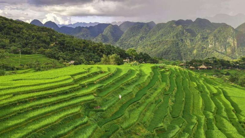 From Hanoi: Pu Luong Nature Reserve 2-Day Trek - The Value of the Experience