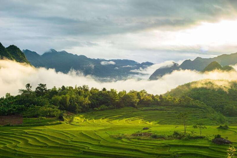 From Hanoi: Pu Luong Nature Reserve 2-Day Trek - The Bottom Line: Is It Worth It?