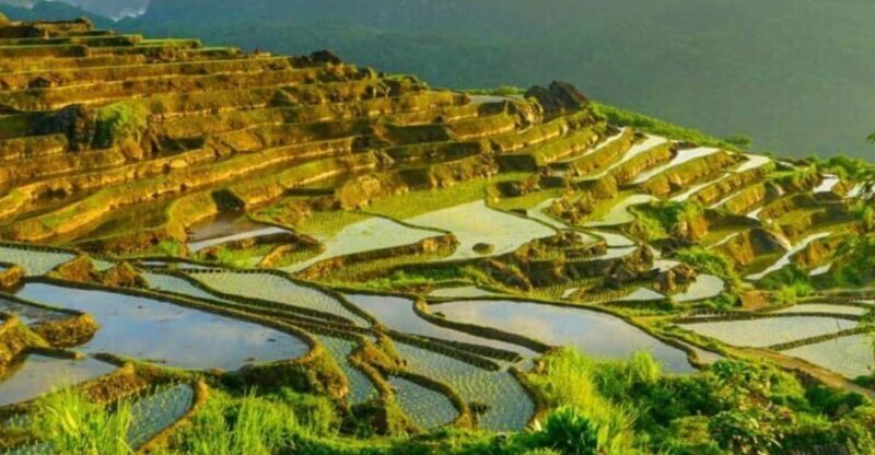 From Hanoi: Pu Luong Nature Reserve Vacation 2D1N - What the Reviews Say