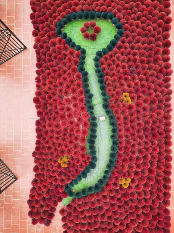 From Hanoi: Quang Phu Cau Incense Village Half-Day Tour - Exploring the Quang Phu Cau Incense Village Tour in Depth