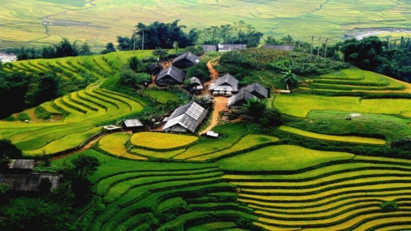 From Hanoi: Sapa 3-Day Medium Trek and Limousine Trip - Authentic Experiences and Cultural Encounters