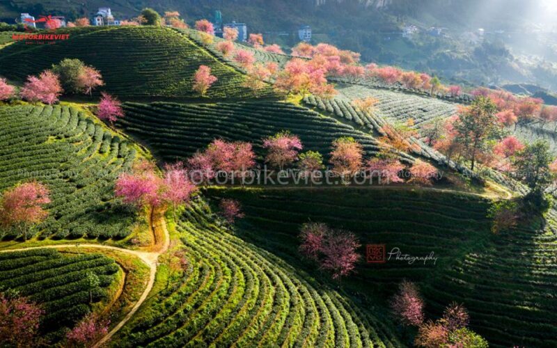 From Hanoi: Sapa 3 Days 2 Nights In the Evening - FAQs