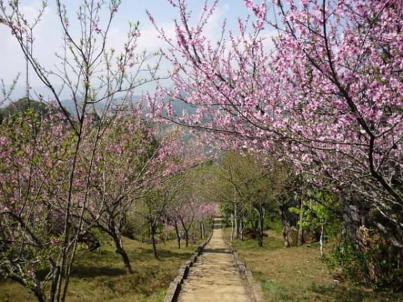 From Hanoi: Sapa 3 Days Trek, Phansipan Peak| 5-Stars Hotel - Authenticity, Comfort, and Flexibility