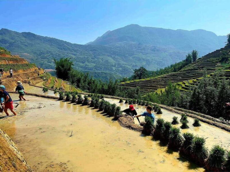 From Hanoi/Sapa: Highlights 2-Day Trekking Tour - Exploring Sapa in Style and Substance: A 2-Day Trekking Adventure