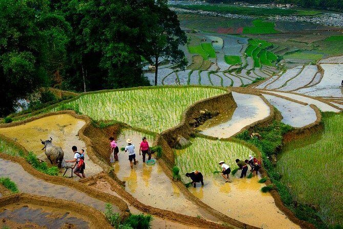 From Hanoi: Sapa Real Experience 2-Day 1 Night at Ethnic Homestay - FAQ