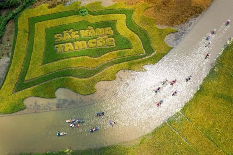 From Hanoi: Tam Coc Boat Trip and Hoa Lu & Mua Cave Tour - What Makes This Tour Stand Out?