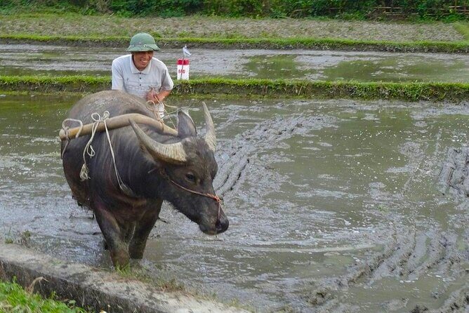 From Hanoi: THE BEST Day Trip to Mai Chau Explore Rural Villages - What Makes This Tour Stand Out?