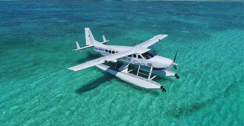 From Hanoi: Two Days Halong Bay Seaplane & Sleep Cruise Tour - From Hanoi: Two Days Halong Bay Seaplane & Sleep Cruise Tour