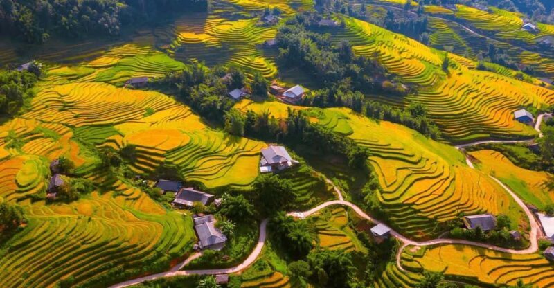 From Hanoi: Visit Sapa 3 Days & See The Terraced Fields - What Makes This Tour Stand Out