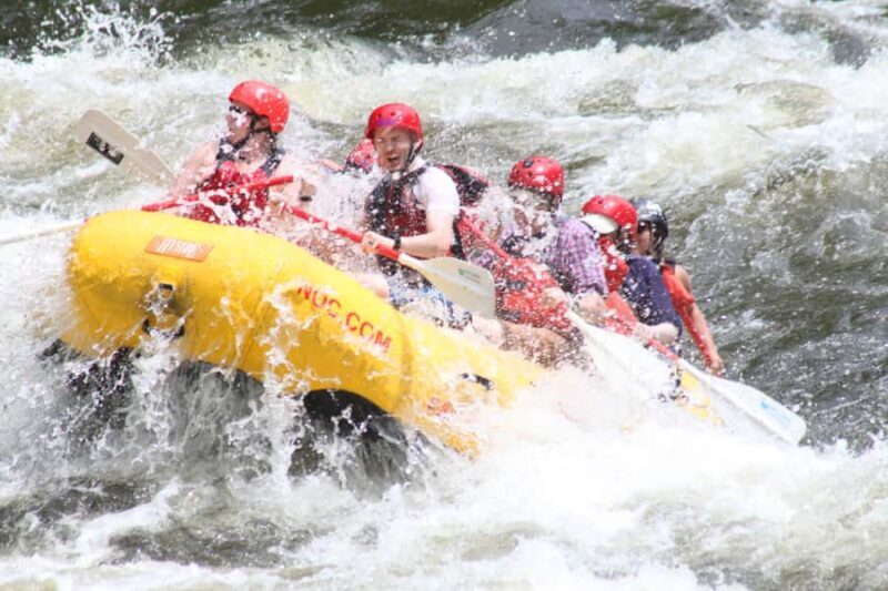 From Hartford: Upper Pigeon River White Water Rafting Tour - Who Will Love This Tour?