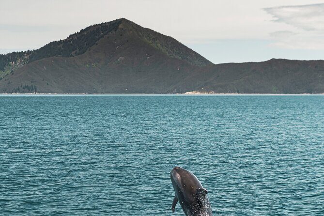 From Havelock to Marlborough Sounds Postie's Day Off Cruise - Exploring the Itinerary in Detail