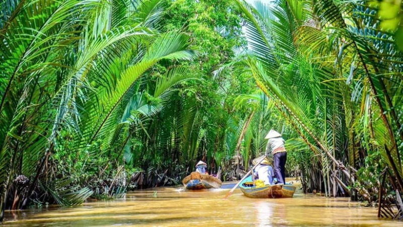 From HCMC: Cai Rang Floating Market & Mekong Delta Private - A Deep Dive into the Tour Experience