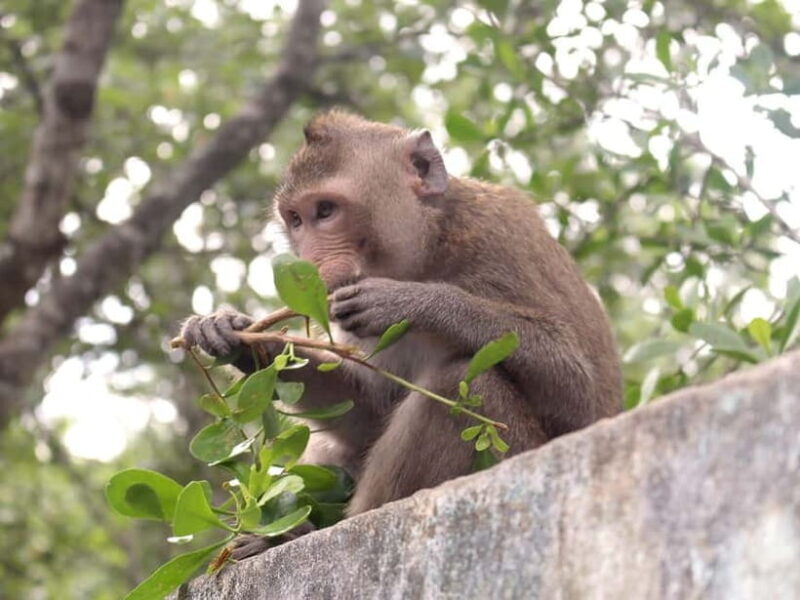 FROM HCMC Can Gio Biosphere Reserve Forest by Speed boat - Final Thoughts