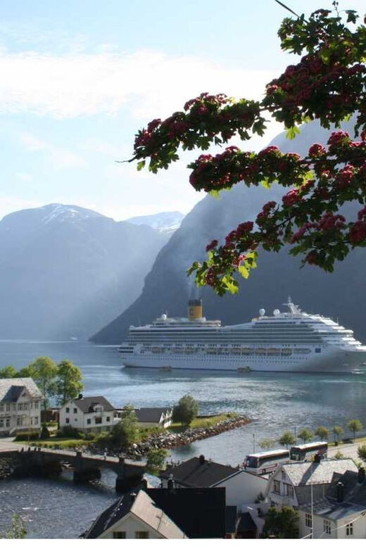 From Hellesylt: The Best of Geiranger Shore Excursion - Key Points