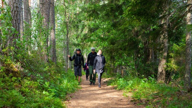 From Helsinki: Berry Picking Day Trip in a National Park - From Helsinki: Berry Picking Day Trip in a National Park — An Authentic Finnish Wilderness Experience