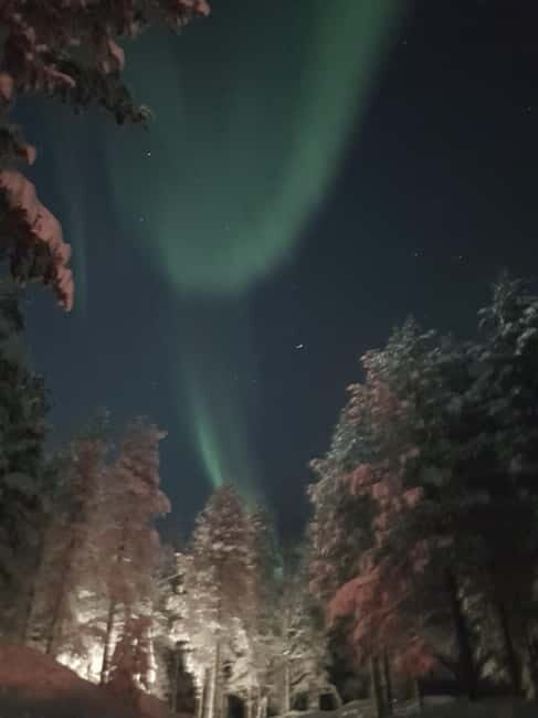 From Helsinki: Guided Forest Walk in the dark with campfire - Who Will Love This Tour?