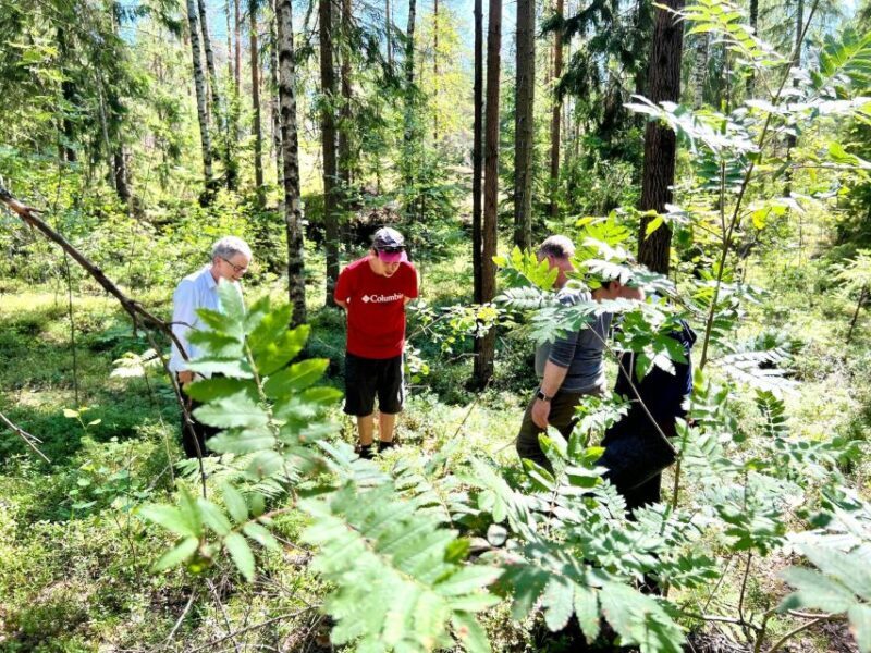 From Helsinki: Hike and Sauna in Sipoonkorpi National Park - From Helsinki: Hike and Sauna in Sipoonkorpi National Park — a Deep Dive