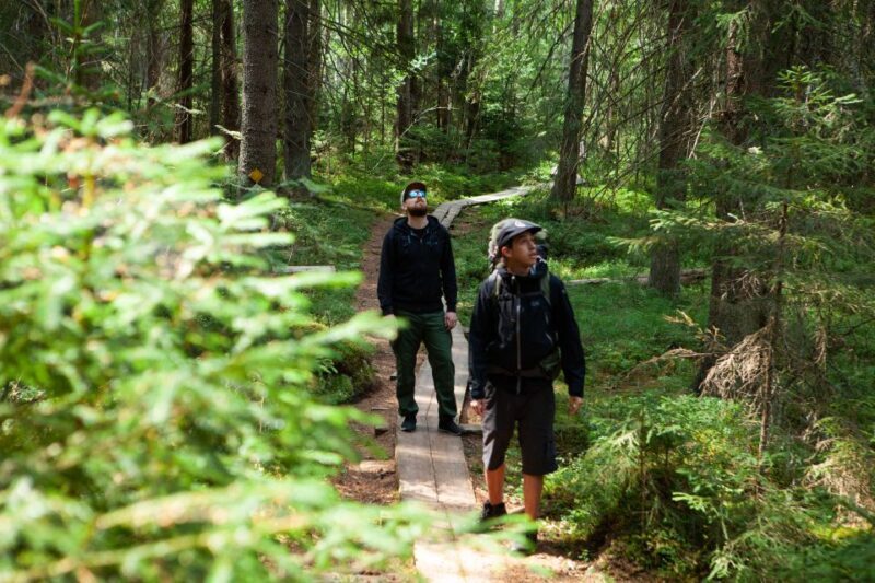 From Helsinki: Magical Taiga Hike in Liesjärvi National Park - The Tour at a Glance