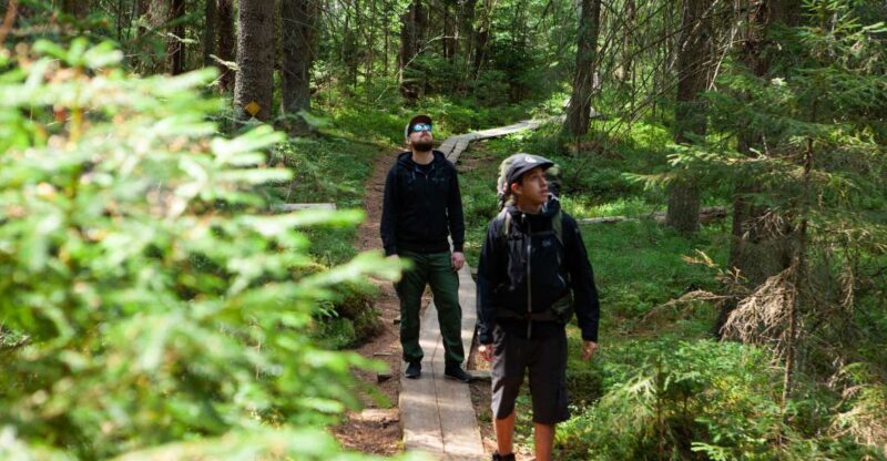 From Helsinki: Magical Taiga Hike in Liesjärvi National Park - What Could Be Better?