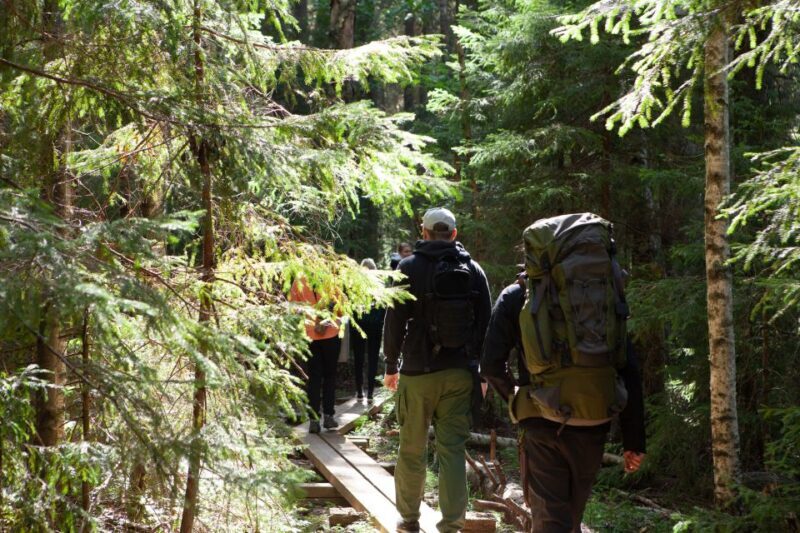 From Helsinki: Mushroom Hunting Tour in a National Park - Exploring Helsinki to the Wilderness