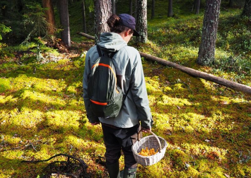From Helsinki: Mushroom Hunting Tour in a National Park - Pricing and Value