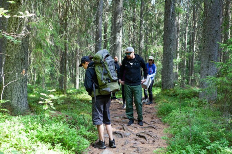 From Helsinki: Mushroom Hunting Tour in a National Park - The Sum Up