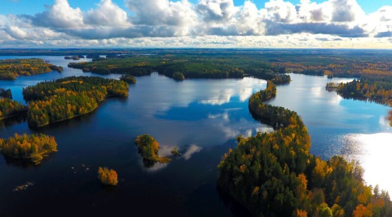 From Helsinki: Mushroom Hunting Tour in a National Park - FAQ