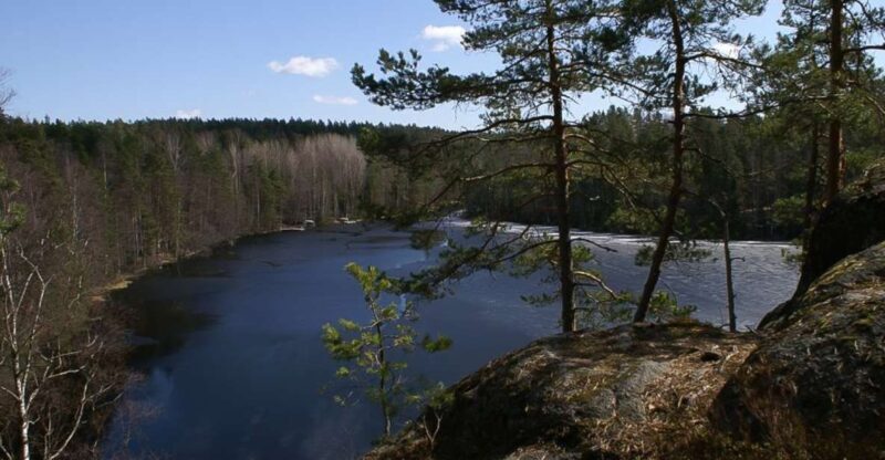 From Helsinki: Nuuksio National Park Half-Day Trip - Who Will Appreciate This Tour?
