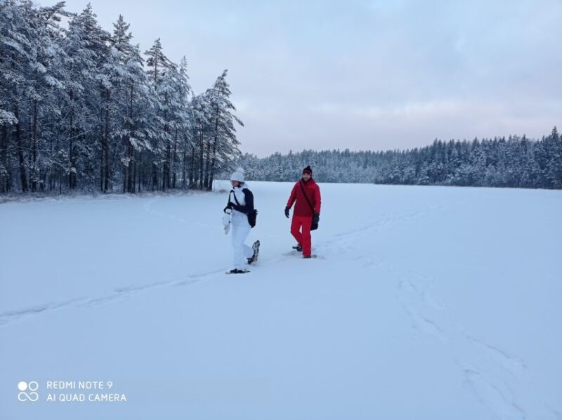 From Helsinki: Nuuksio National Park Hiking Tour with Food - Discovering Nuuksio National Park: An Authentic Finnish Wilderness