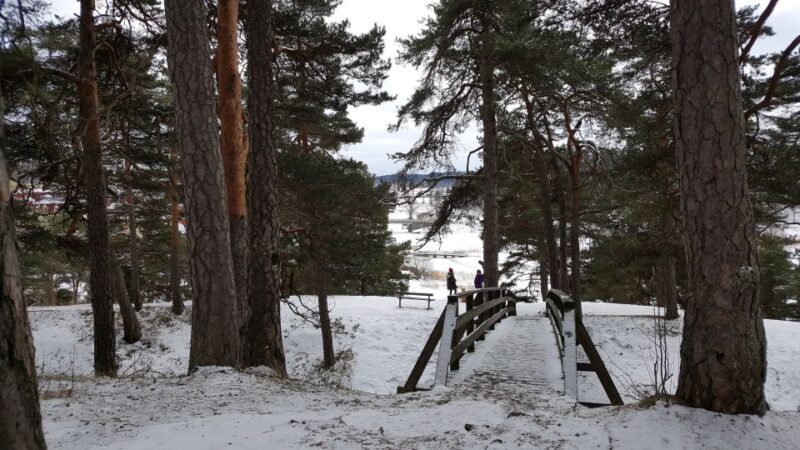 From Helsinki: Porvoo Guided Day Trip with Transportation - FAQs
