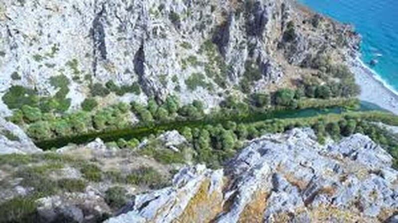 From Herakleion: Day Trip to Preveli Palm River Beach - Who Should Consider This Tour