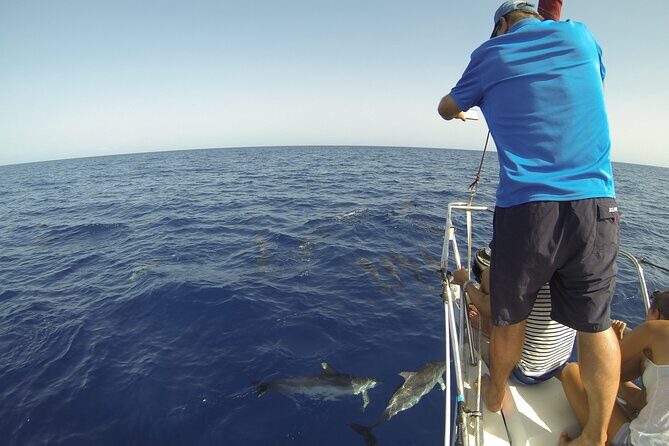 From Heraklion : Small Group 6 hours Sailing Trip to Dia Island - FAQs