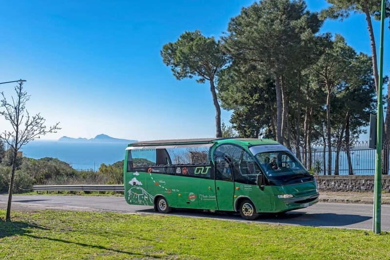 From Herculaneum : Panoramic Open tour Destination Vesuvio - Who Will Love This Tour?
