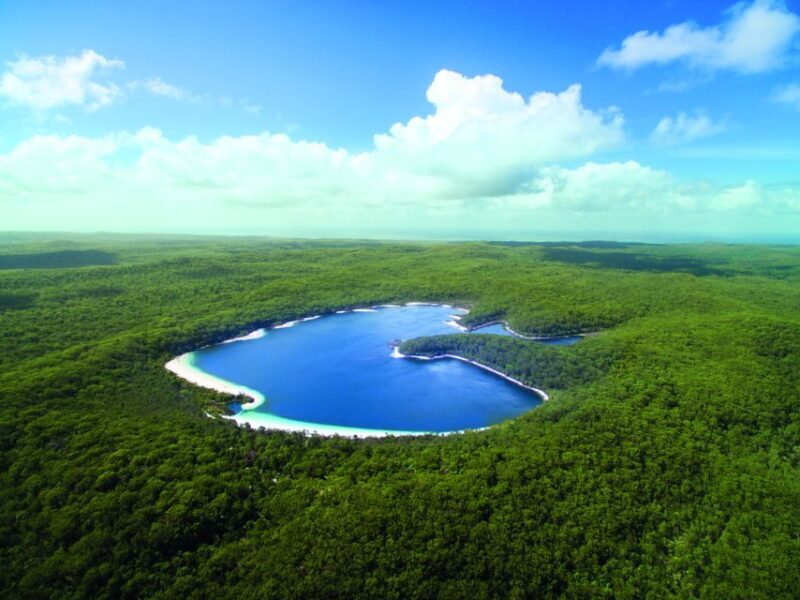 From Hervey Bay: K'gari, Fraser Island Full-Day Coach Tour - An In-Depth Look at the Fraser Island Adventure