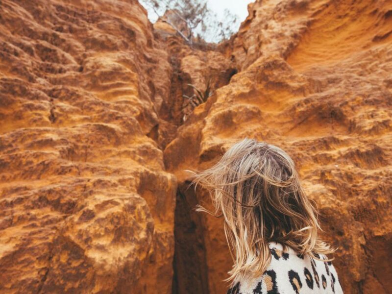 From Hervey Bay: K'gari, Fraser Island Full-Day Coach Tour - Final Words