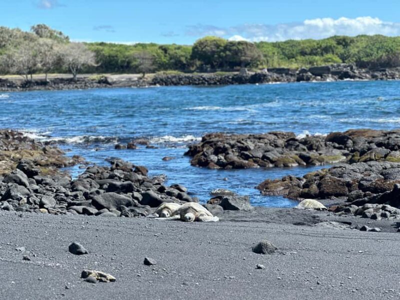 From Hilo: Guided Excursion with Volcanoes National Park - FAQ Section