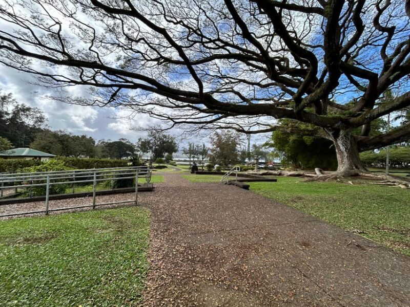 From Hilo: Hawaii Volcanoes National Park Tour - Who Will Love This Tour?