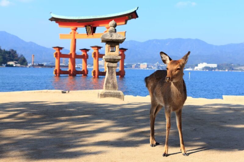 From Hiroshima: City and Miyajima Island 1-Day Bus Tour - The Verdict: Is It Worth It?