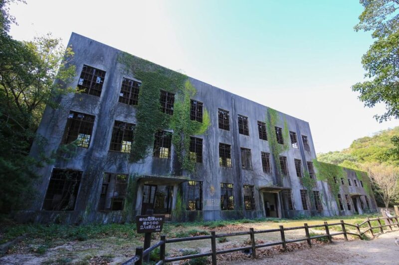 From Hiroshima: Rabbit Island and Takehara Town Tour - Deep Dive: Itinerary Breakdown