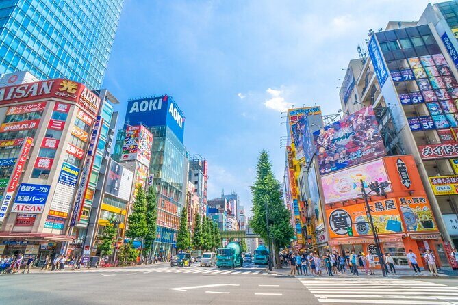From History to Subculture: Akihabara & Ueno Must-See Tour! - Authentic Experiences and Hidden Gems