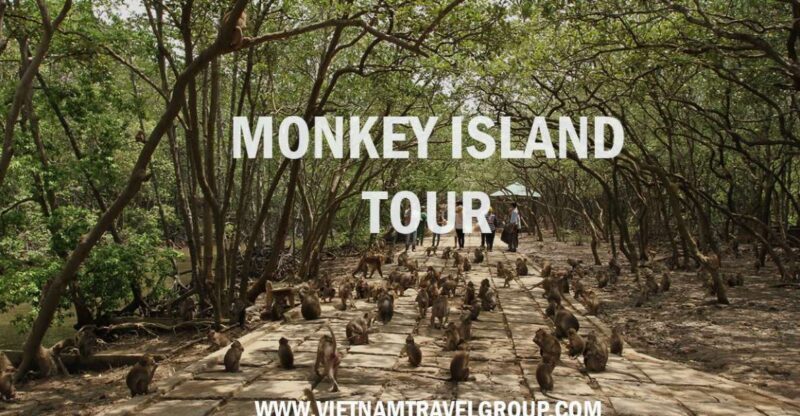 From Ho Chi Minh City: Can Gio Mangrove Guided Forest Tour - The Experience in Detail