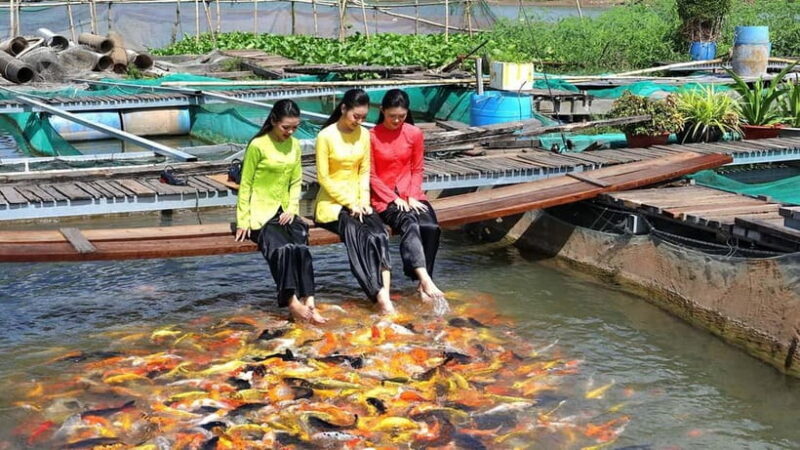 From Ho Chi Minh: Group Tour Cai Rang Floating Market 1 day - Practical Details and Value