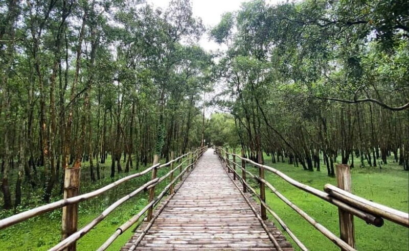 From Ho Chi Minh: Mekong Delta 3-Day Tour with Tra Su Forest - Real Traveler Insights and Balance