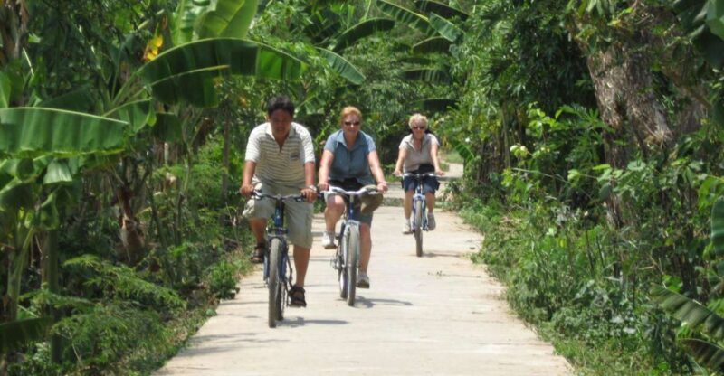 From Ho Chi Minh: Mekong Delta, My Tho & Ben Tre Day Trip - Key Points