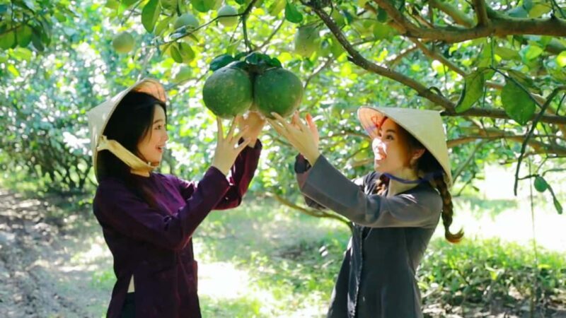 From Ho Chi Minh: Mekong Delta Tour to My Tho & Ben Tre 1Day - Return Journey and Reflection