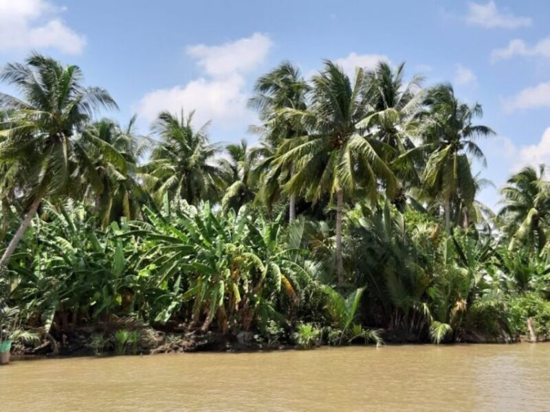 From Ho Chi Minh: Mekong Delta with Ben Tre 1 Day Tour - Who would enjoy this tour?
