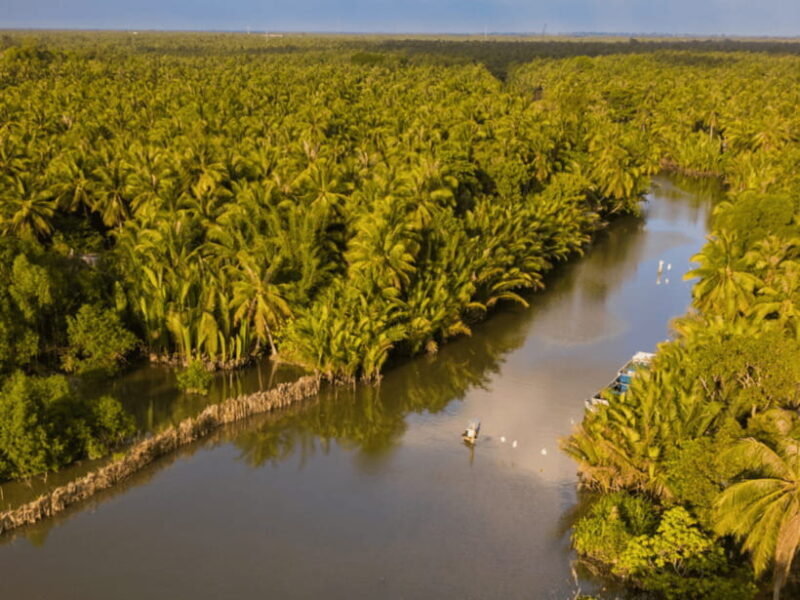 From Ho Chi Minh: My Tho Ben Tre Mekong with Lunch - Final Thoughts