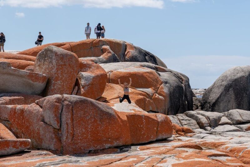 From Hobart: 5-Day Tasmania West & East Coast Tour - A Practical Look at the 5-Day Tasmania West & East Coast Tour