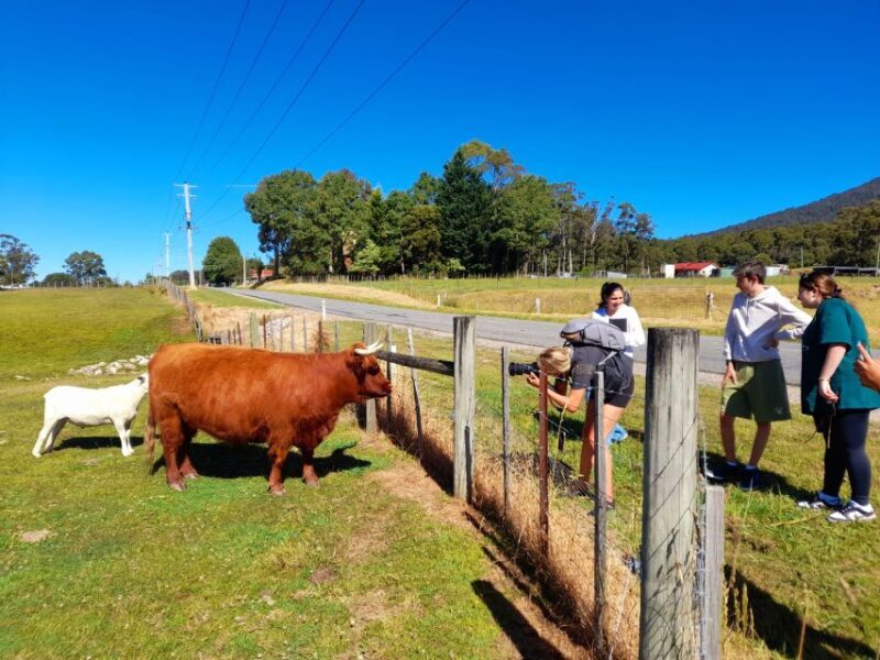 From Hobart: Active Day Trip to Cradle Mountain - The Sum Up