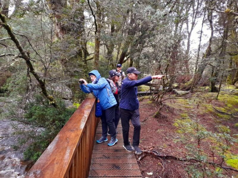 From Hobart: Active Day Trip to Cradle Mountain - FAQs